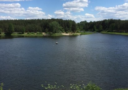 działka na sprzedaż - Rzewnie, Brzóze Małe