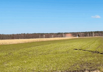 działka na sprzedaż - Opole, Czarnowąsy