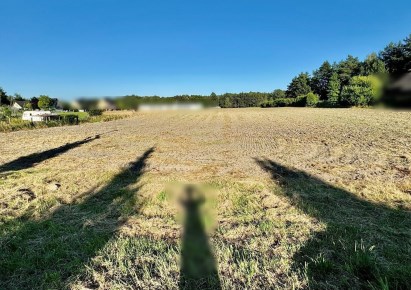 działka na sprzedaż - Komprachcice, Ochodze