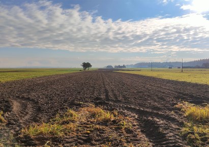 działka na sprzedaż - Turawa, Ligota Turawska