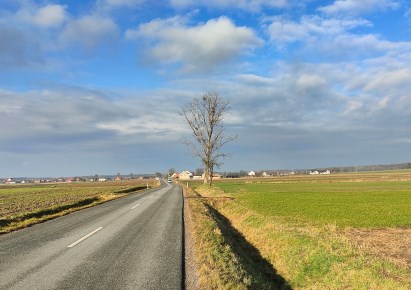 działka na sprzedaż - Turawa, Ligota Turawska